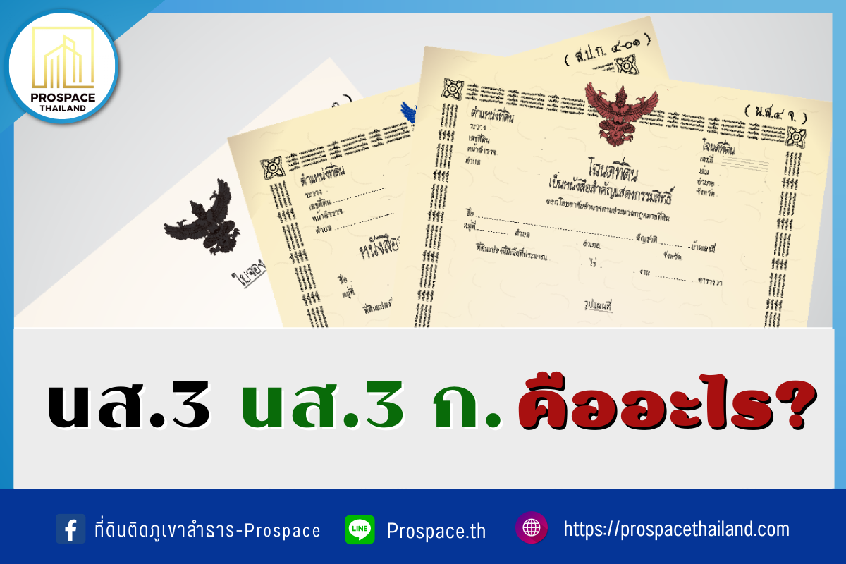 ที่ดิน นส.3 และ นส.3ก คืออะไร - ProspacE - โปรสเปซ
